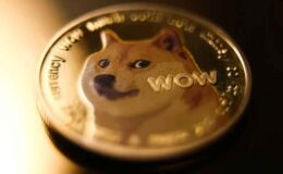 Dogecoin (DOGE) %50 Fiyat Artışının Eşiğinde, Bilmeniz Gerekenler