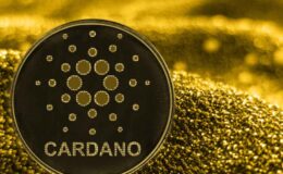 İşte Bu Uzmanın Cardano İçin 10 Doların Gerçekçi Olduğuna İnanmasının Nedeni
